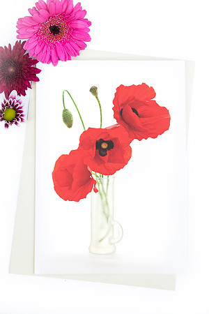 Poppies