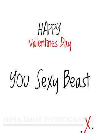 Happy Valentines (portrait)