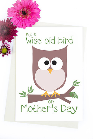 Wise old bird