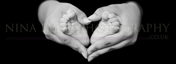 IMG_8776-Edit-Edit